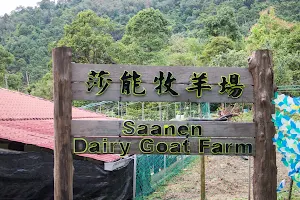 Saanen Dairy Goat Farm image