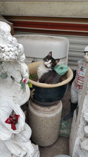 Hardware Store «Freeway Building Materials», reviews and photos, 1124 S Boyle Ave, Los Angeles, CA 90023, USA