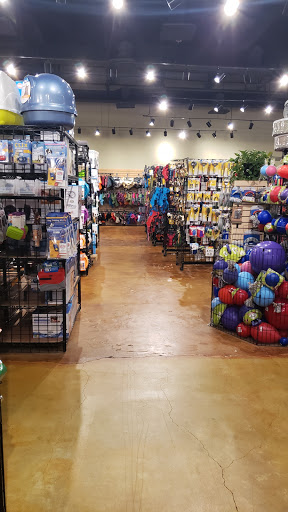 Pet Supply Store «Phydeaux», reviews and photos, 6464 Tryon Rd, Cary, NC 27518, USA