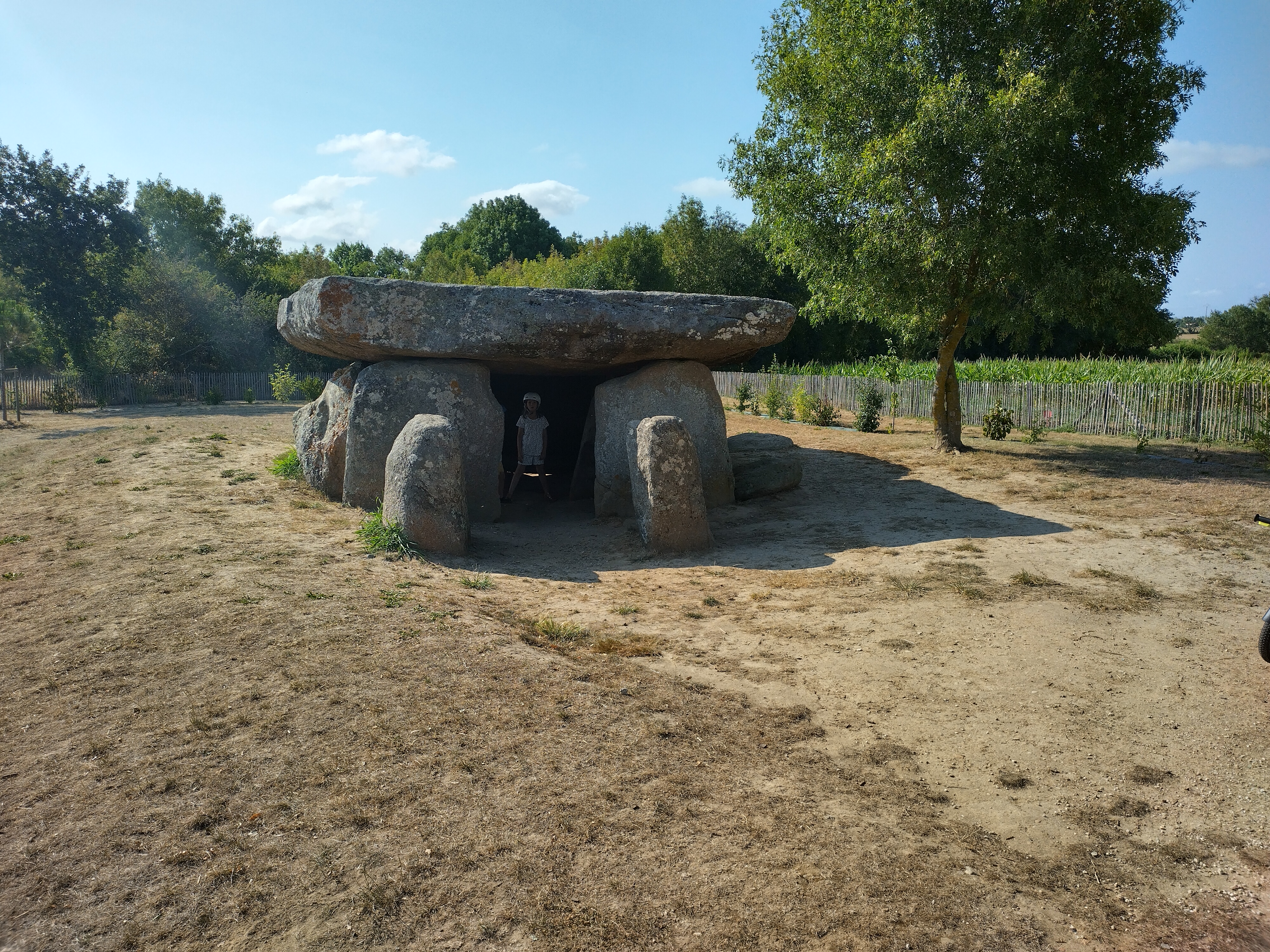 Photo n° 1 de l'avis de Clément.A fait le 22/07/2022 à 05:24