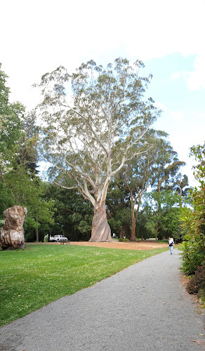 Christchurch Botanic Gardens - Christchurch