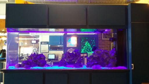 Food and Drink «The Double D Bar & Grill», reviews and photos, 240 N River Rd, Mt Clemens, MI 48043, USA