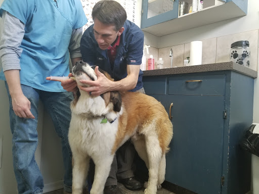 Foothills Veterinary Clinic image