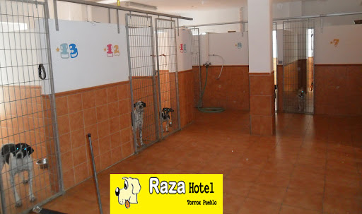Residencia de Mascotas Raza Hotel - Pago Alcahuete, 29770, Málaga, España