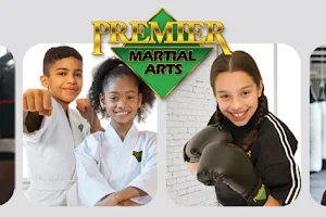 Premier Martial Arts Apex image