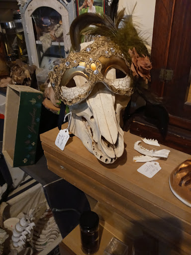 Explore tattoo ideas brazo, creative tattoo ideas in Muncie, available at Obscura Tattoo shop and Oddity Collective