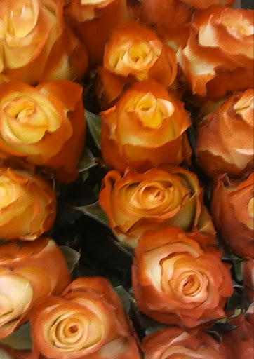 Shopping Mall «Burns Valley Mall», reviews and photos, Olympic Dr, Clearlake, CA 95422, USA