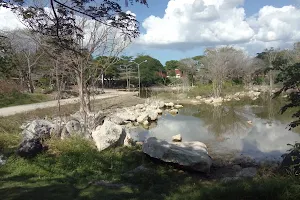 Poniente Ecological Park image