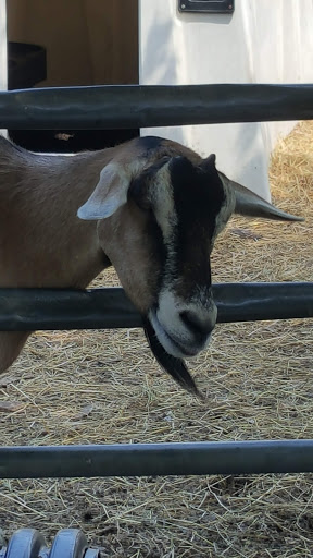 Farm «B & B Flower Farm», reviews and photos, 668 Jones Hill Rd, West Haven, CT 06516, USA