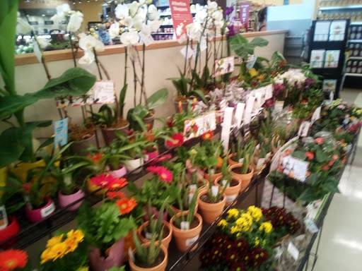 Grocery Store «Hannaford Supermarket», reviews and photos, 99 Main St, Gorham, ME 04038, USA