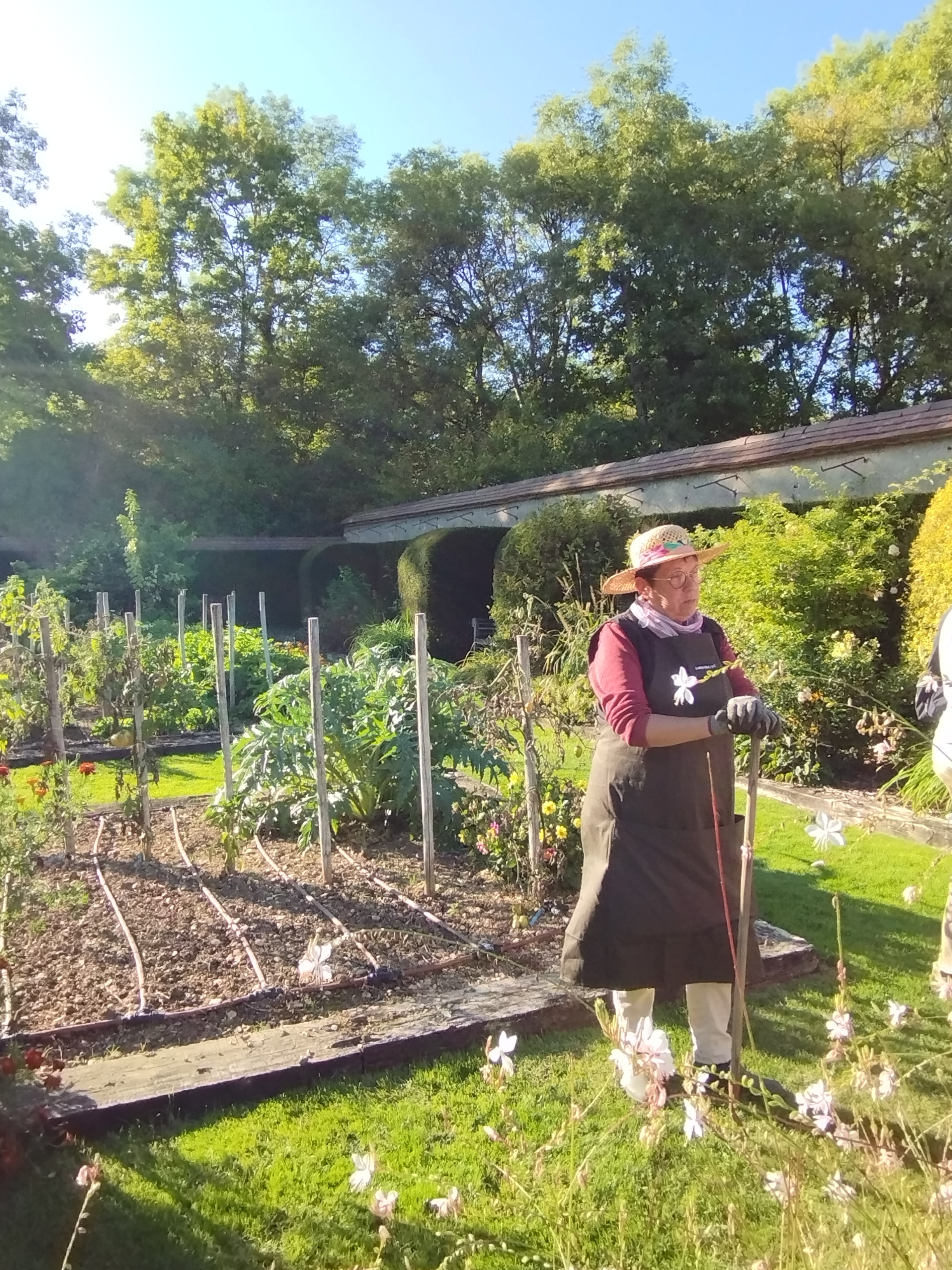 Photo n° 6 de l'avis de Régine.O fait le 23/09/2022 à 14:54