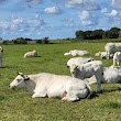 Stolpboerderij De Goede Verwachting