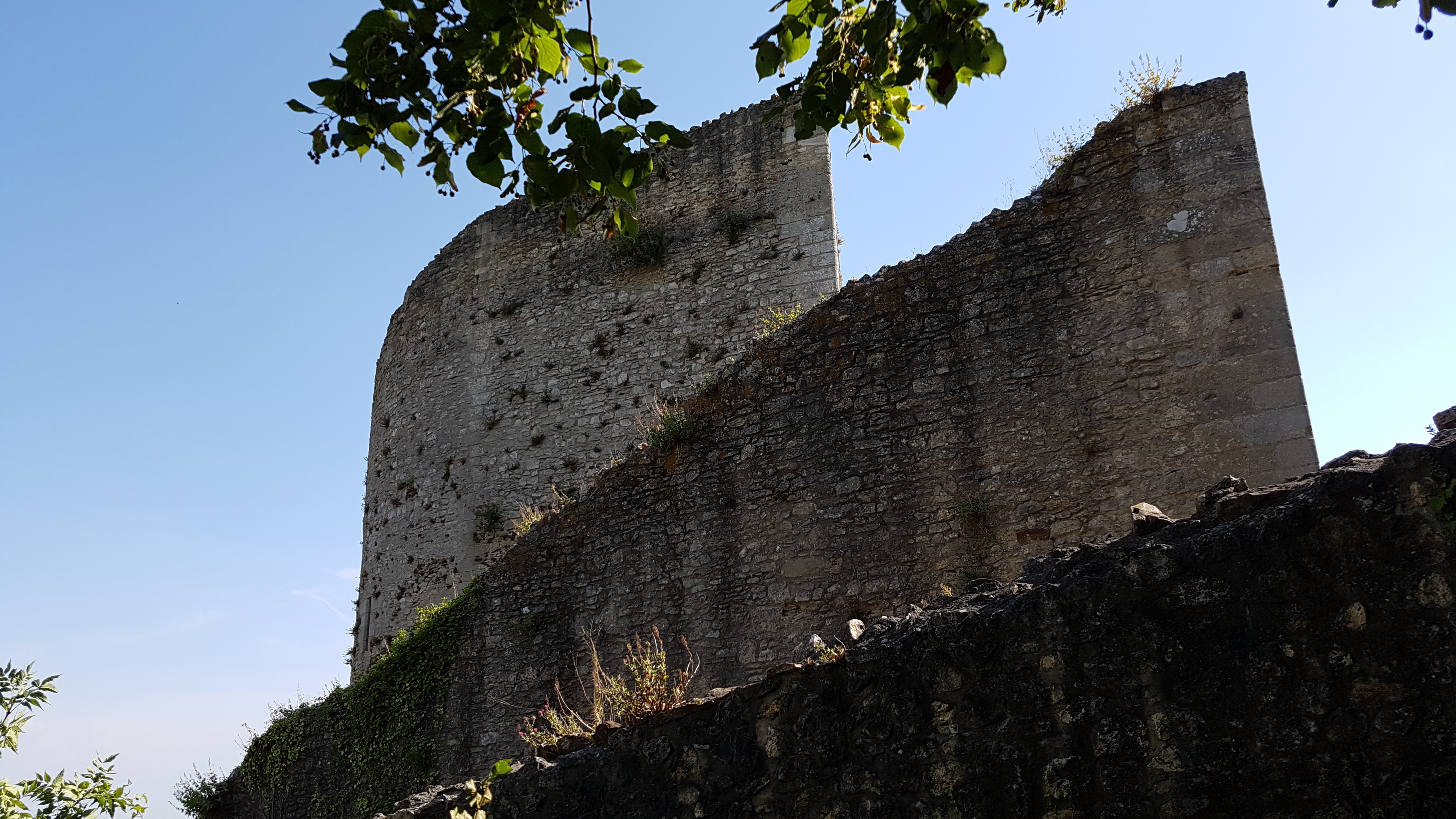 Photo n° 11 de l'avis de Jean.h fait le 09/08/2020 à 21:25