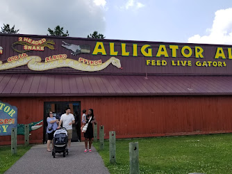 Alligator Alley