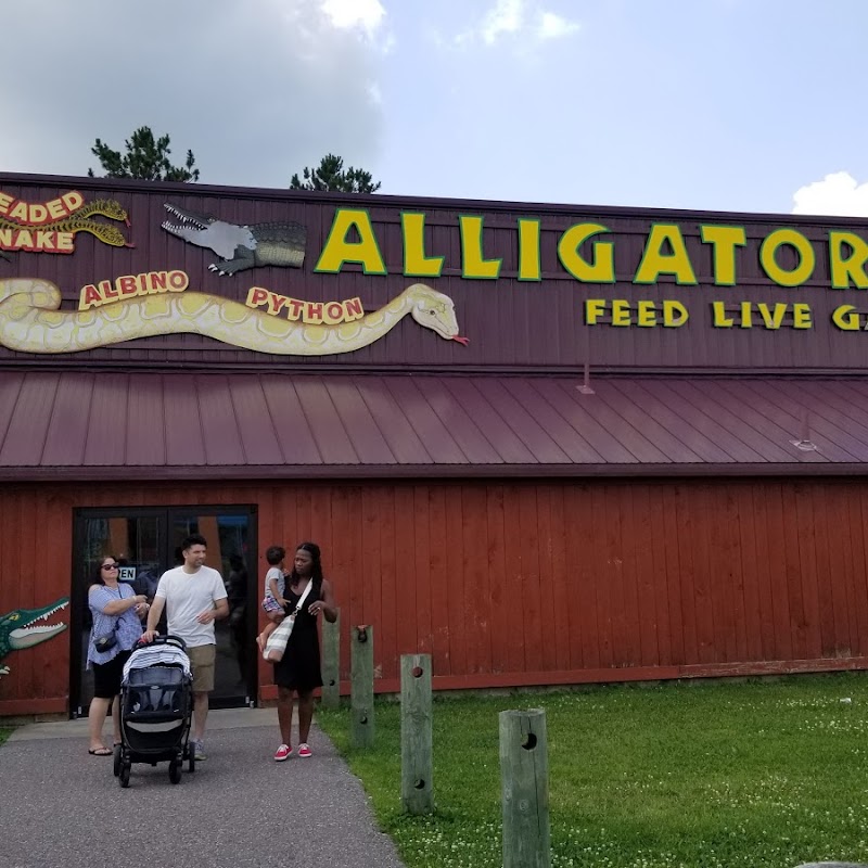 Alligator Alley