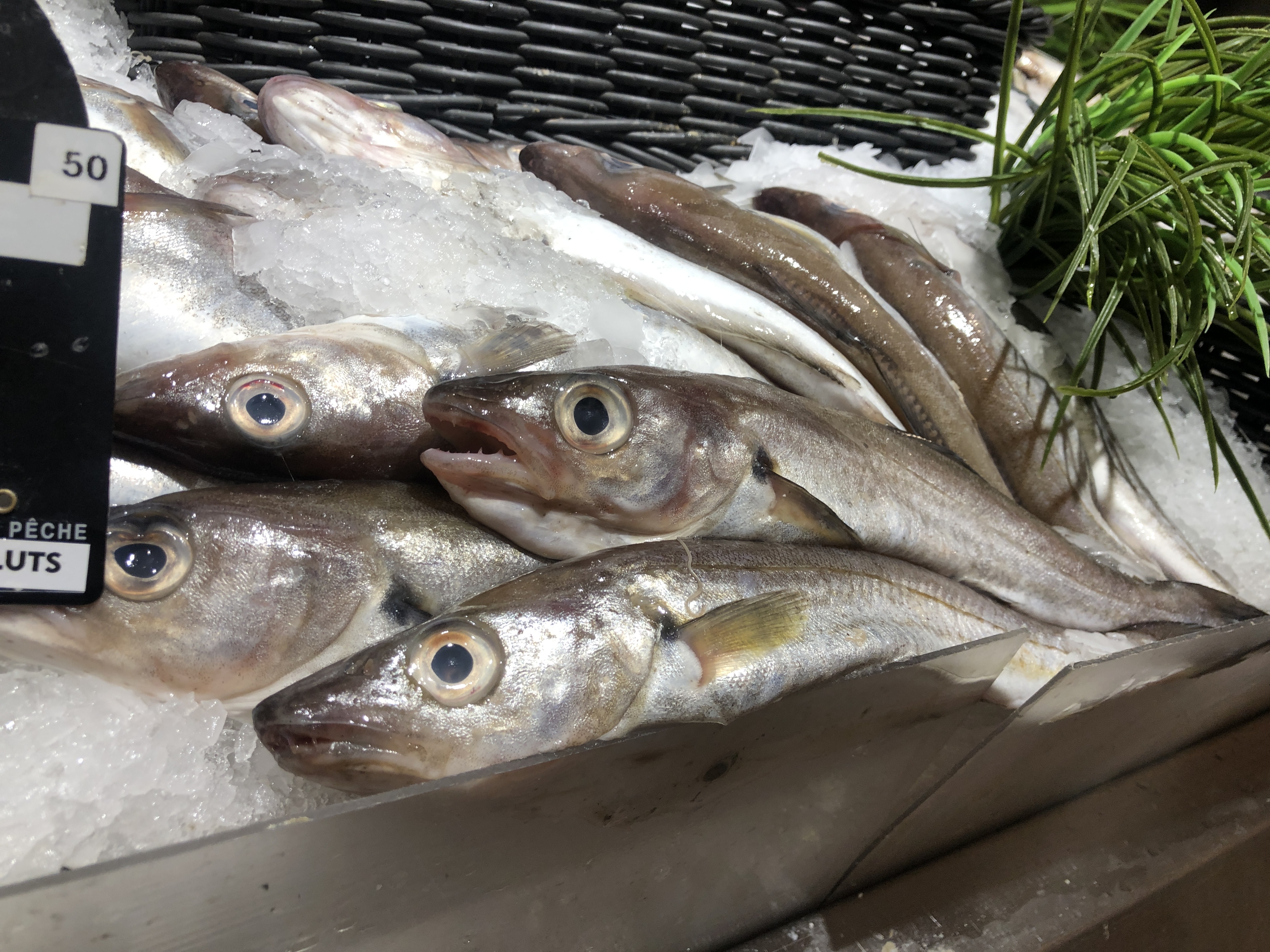 Photo n° 2 de l'avis de Reviewer.h fait le 31/05/2019 à 15:52