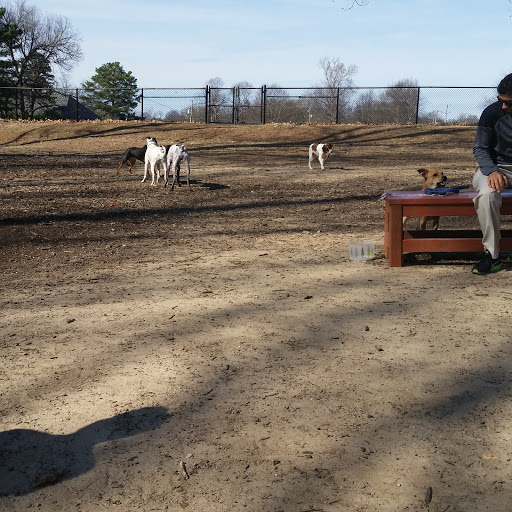 Park «Suggs Park», reviews and photos, 163 E South St, Collierville, TN 38017, USA