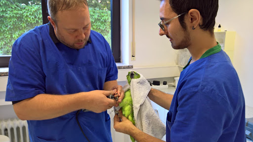 Veterinary practice for exotics unter Augsburg, Bayern