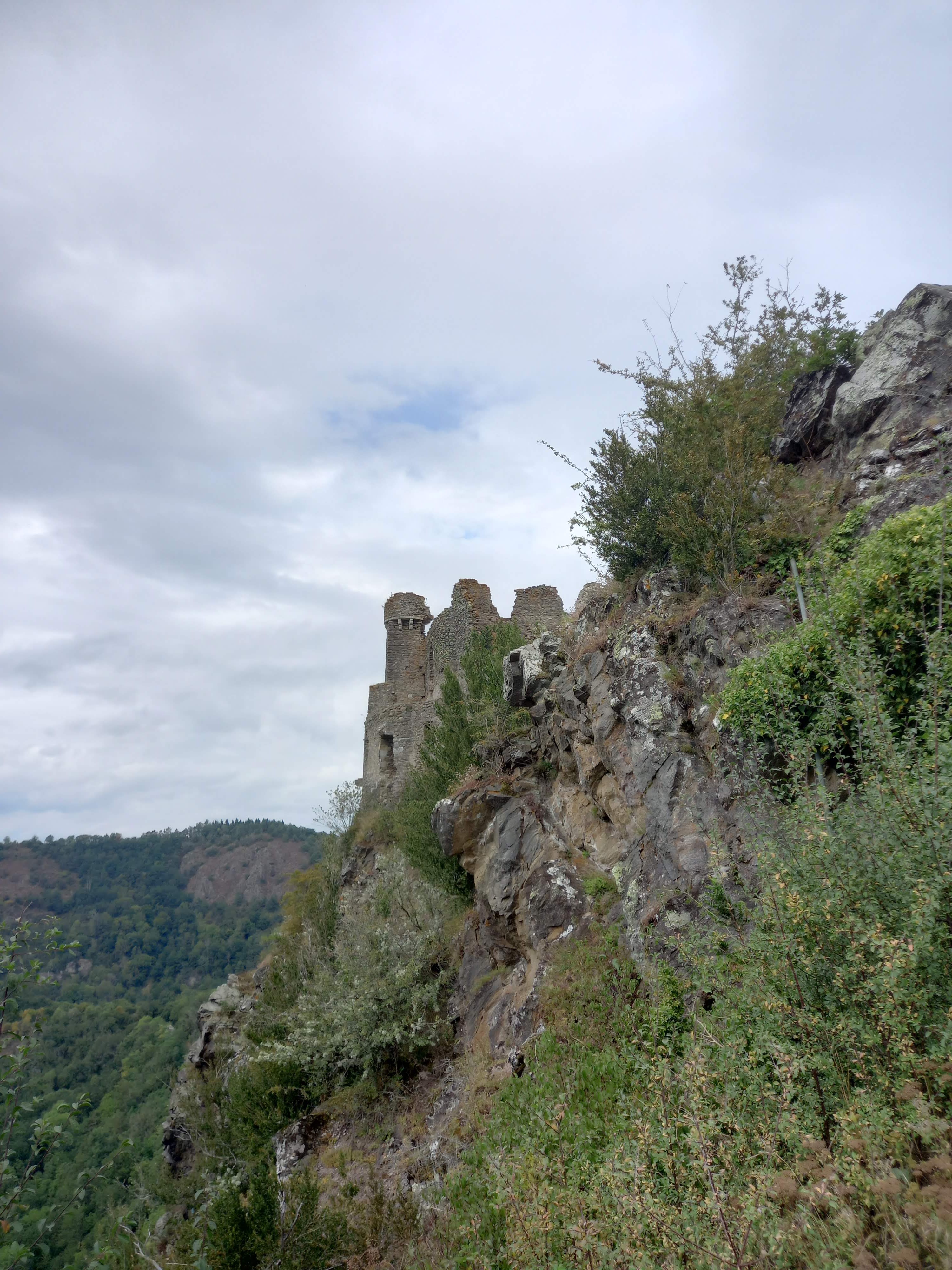 Photo n° 22 de l'avis de Lucien.a fait le 01/07/2021 à 18:28
