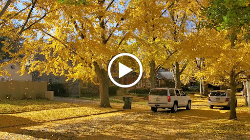 Museum «Ashland - The Henry Clay Estate», reviews and photos, 120 Sycamore Rd, Lexington, KY 40502, USA