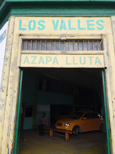 Opiniones de Los Valles en Arica - Servicio de taxis