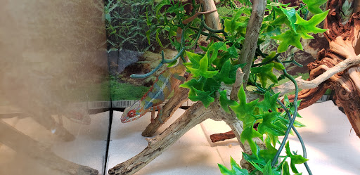 Pet Supply Store «Pet Bazaar», reviews and photos, 490 FL-436, Casselberry, FL 32707, USA