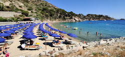 Cannelle Plajı'in fotoğrafı imkanlar alanı