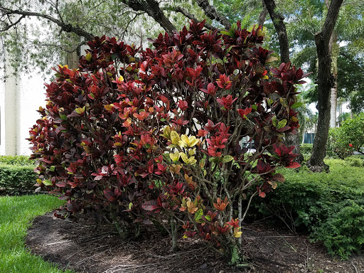 Luxury Hotel «Bonaventure Resort & Spa», reviews and photos, 250 Racquet Club Rd, Weston, FL 33326, USA