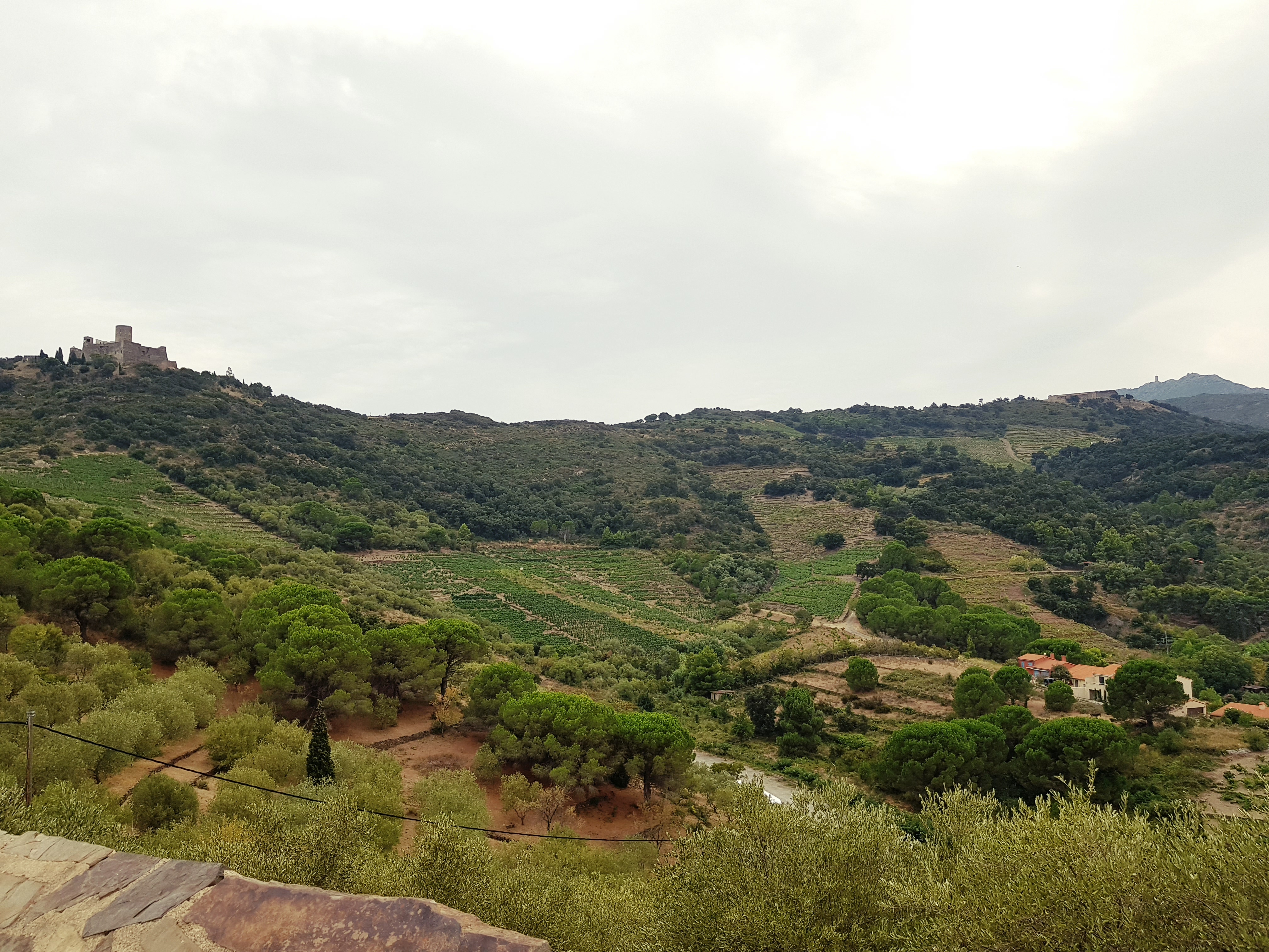 Photo n° 4 de l'avis de olivier. fait le 27/08/2019 à 20:18