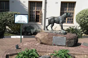 Jock Of Bushveld Statue image