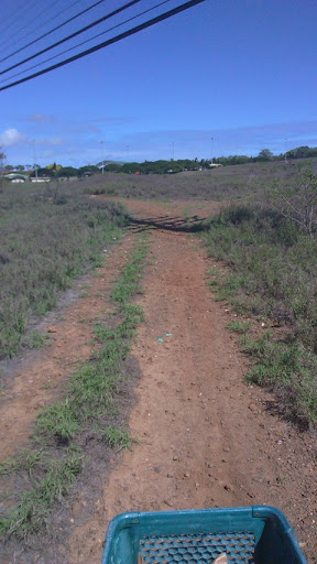 Gluten-Free Restaurant «Capitol Cider», reviews and photos, 818 E Pike St, Seattle, WA 98122, USA