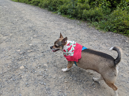 Tourist Attraction «Ice Caves», reviews and photos, Sams Point Rd, Pine Bush, NY 12566, USA