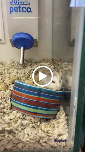 Pet Supply Store «Petco Animal Supplies», reviews and photos, 97 E Street Rd, Feasterville-Trevose, PA 19053, USA