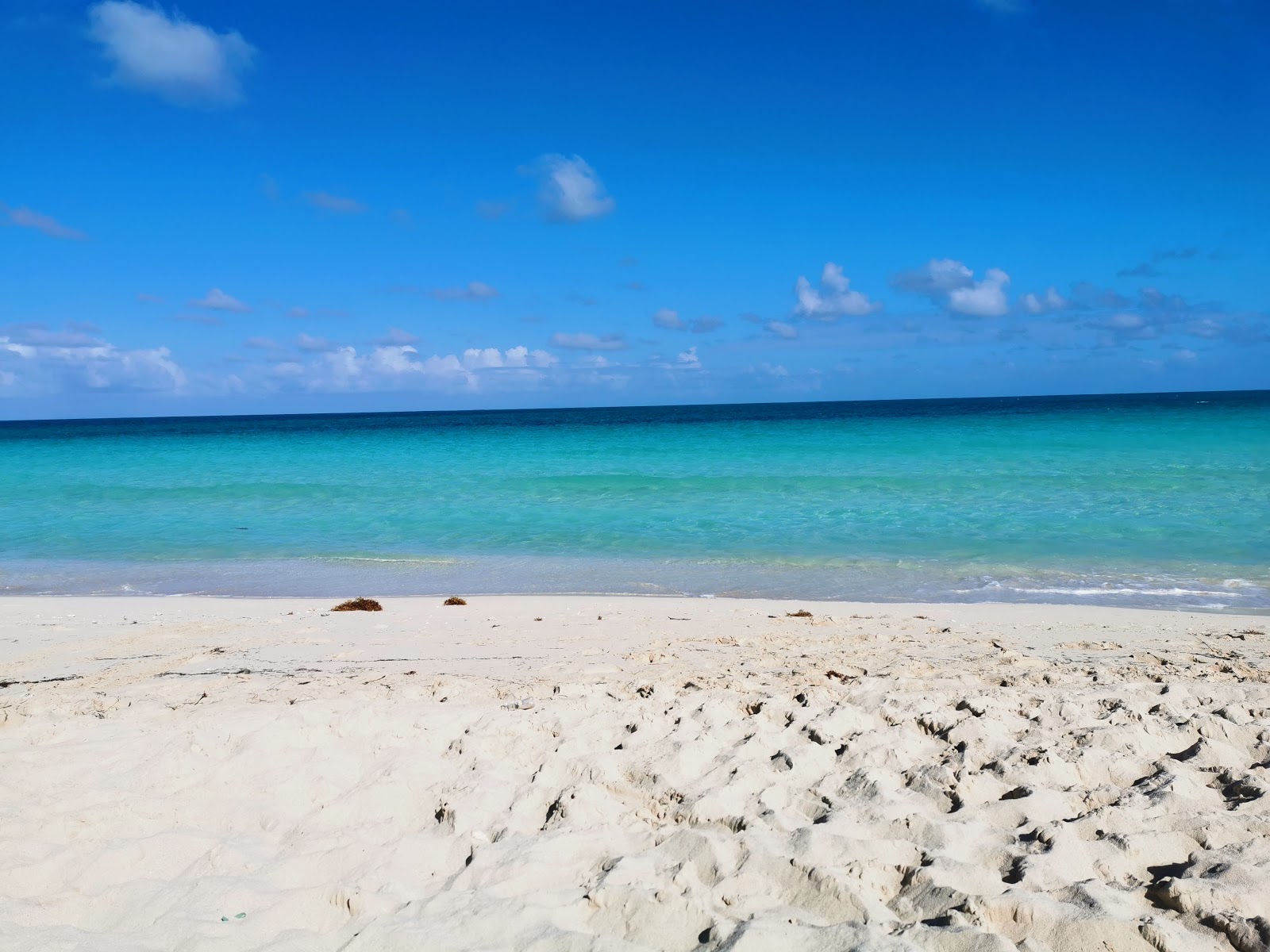 Playa Las Gaviotas的照片 带有碧绿色纯水表面