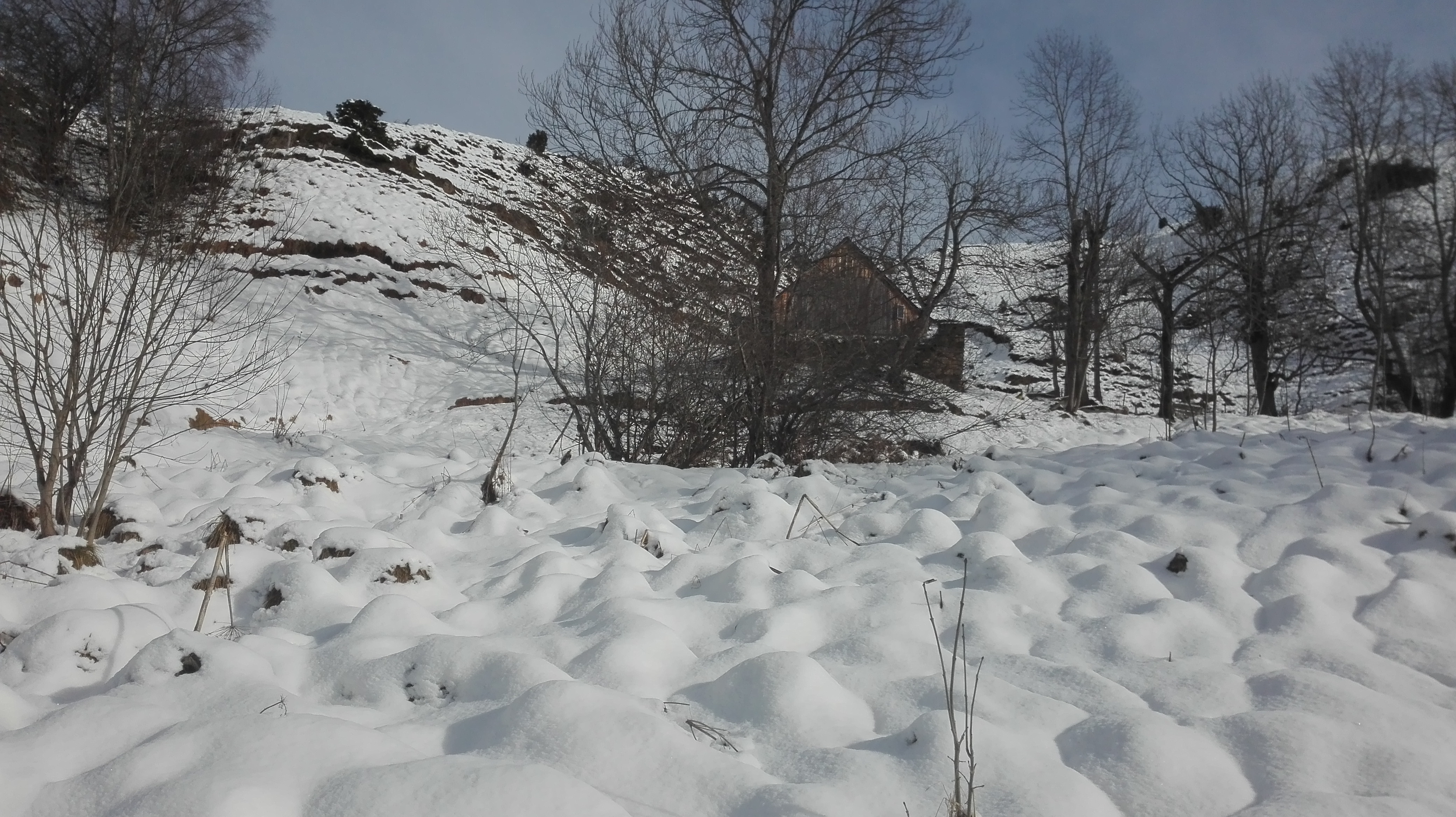 Photo n° 5 de l'avis de LOUIT.O fait le 08/01/2018 à 13:52