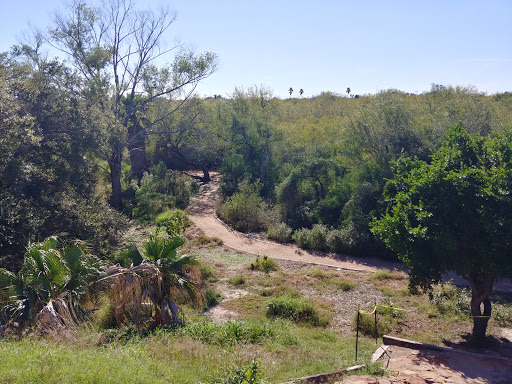 Nature Preserve «McAllen Nature Center», reviews and photos, 4101 U.S. 83 Business, McAllen, TX 78501, USA