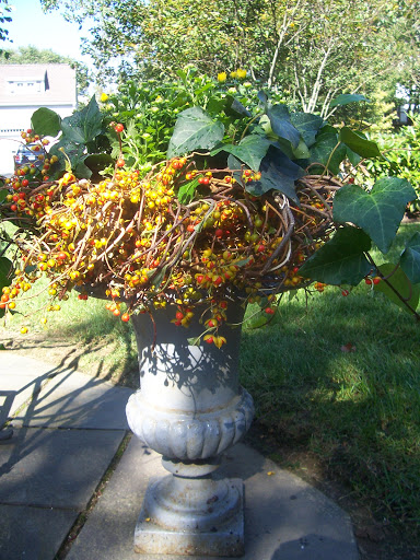 Florist «Flores Mantilla», reviews and photos, 164 Washington St, Marblehead, MA 01945, USA