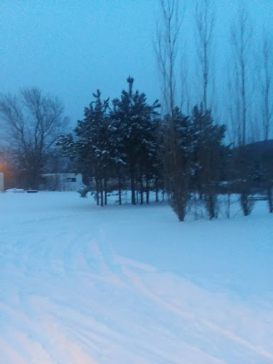 Department Store «Walmart Supercenter», reviews and photos, 409 Sylamore Ave, Mountain View, AR 72560, USA