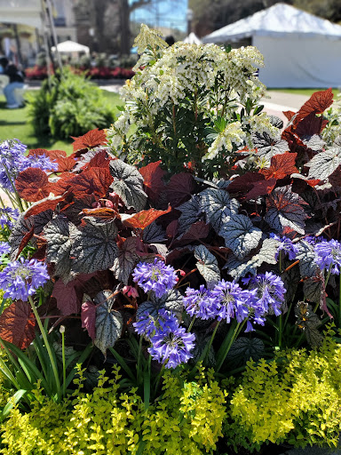 Park «Cathedral Square», reviews and photos, 300 Conti St, Mobile, AL 36602, USA