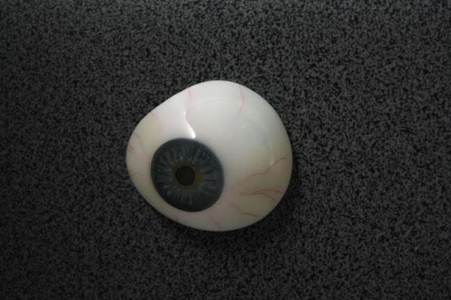 Proteze Oculare OPTIC-IRIS Burcea Cristian - Optica