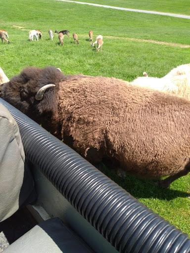 Park «Lake Tobias Wildlife Park», reviews and photos, 760 Tobias Road, Halifax, PA 17032, USA