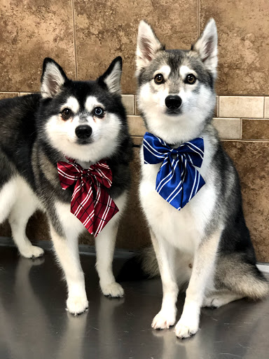 Pet Store «Canine Carousel», reviews and photos, 43135 Broadlands Center Plaza #129, Ashburn, VA 20148, USA