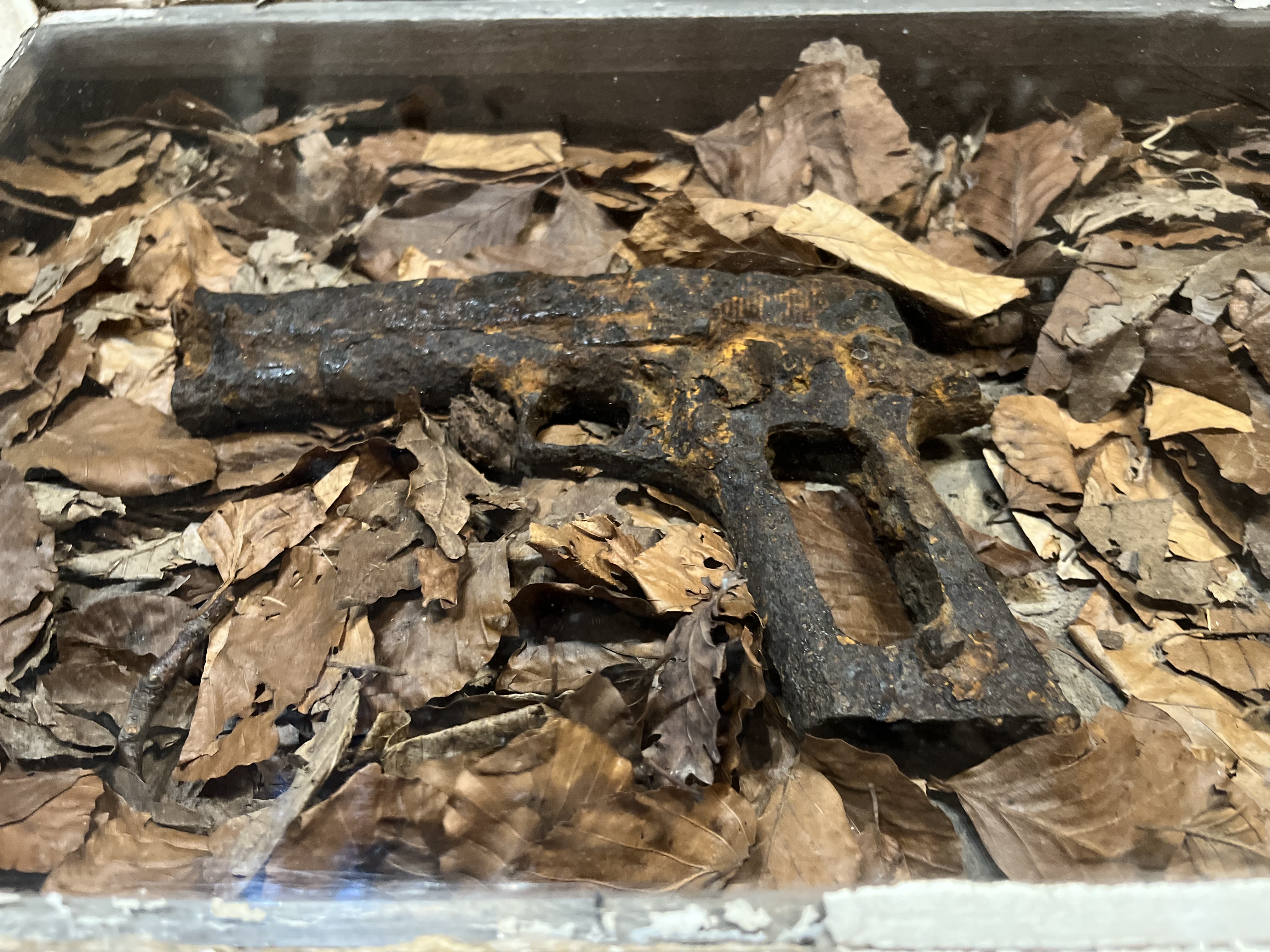 Photo n° 15 de l'avis de Hans.o fait le 13/05/2023 à 18:11