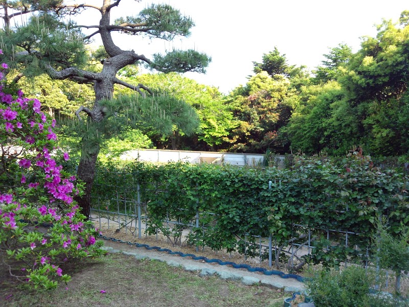 鎌倉市 教養センター