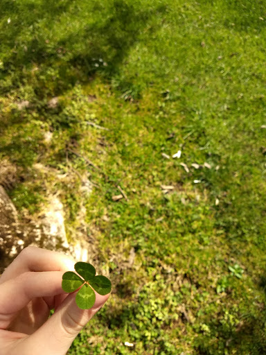 Golf Course «Gresham Golf Course», reviews and photos, 2155 NE Division St, Gresham, OR 97030, USA