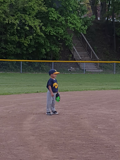 Historical Landmark «Mabel Hartzell Home», reviews and photos, 840 N Park Ave, Alliance, OH 44601, USA