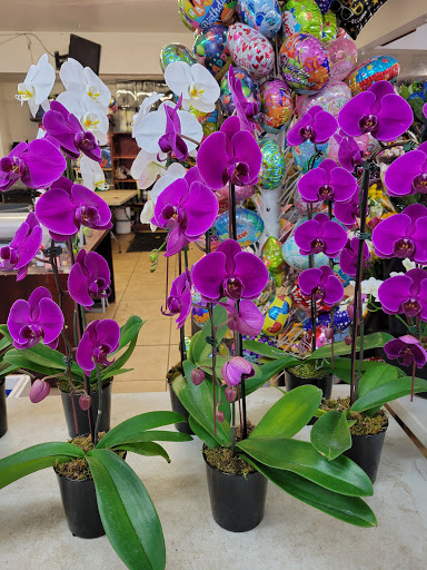 Florist «Avalon Flowers», reviews and photos, 1257 N Avalon Blvd, Wilmington, CA 90744, USA