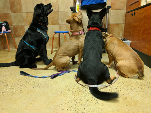 Pet Supply Store «PetSmart», reviews and photos, 271 New Rd, Somers Point, NJ 08244, USA