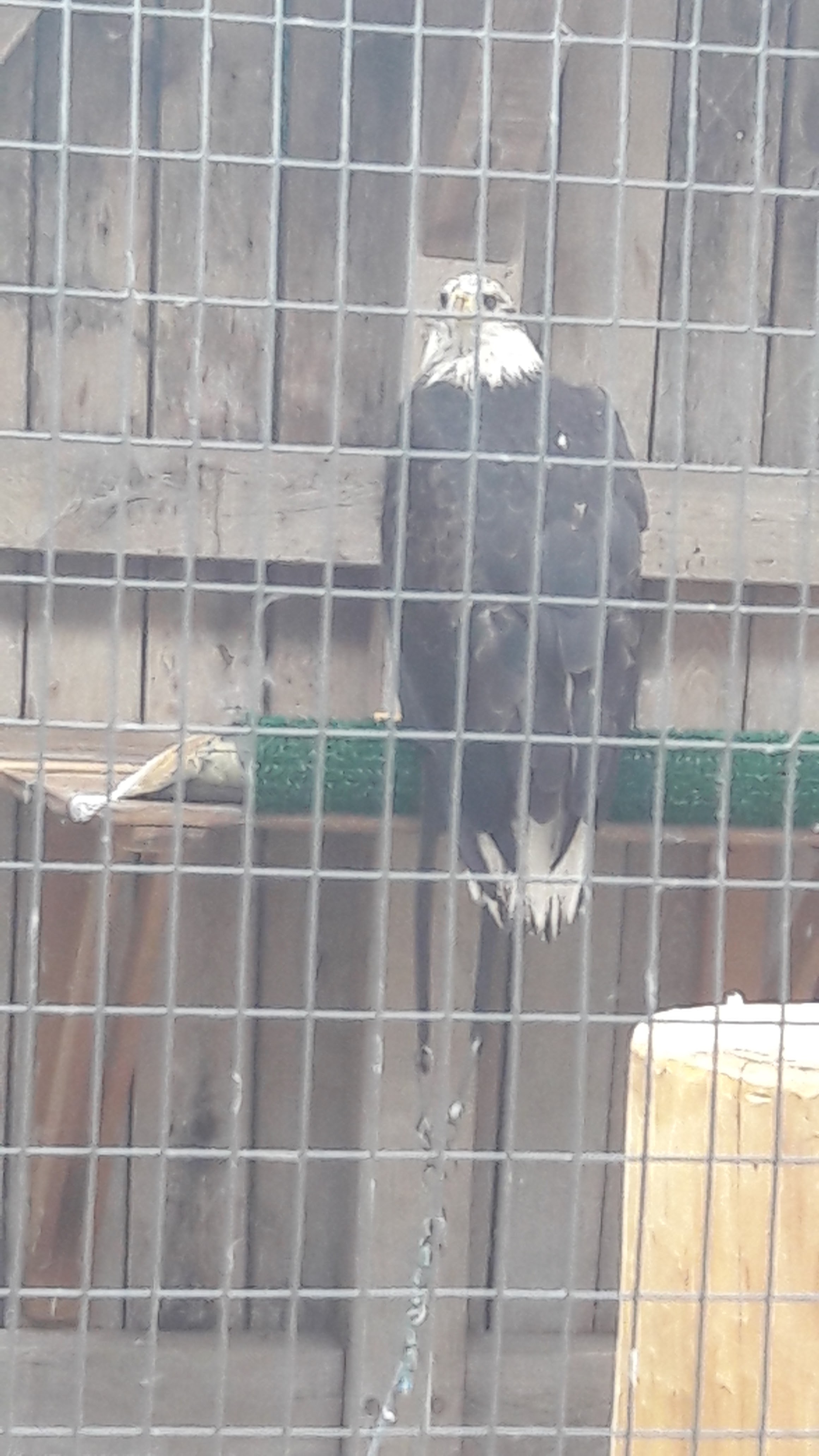 Photo n° 7 de l'avis de Lise.e fait le 14/07/2018 à 16:26