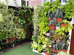 ร้าน Bio-Greens